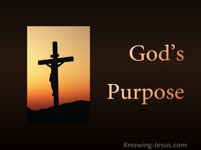 God’s Purpose